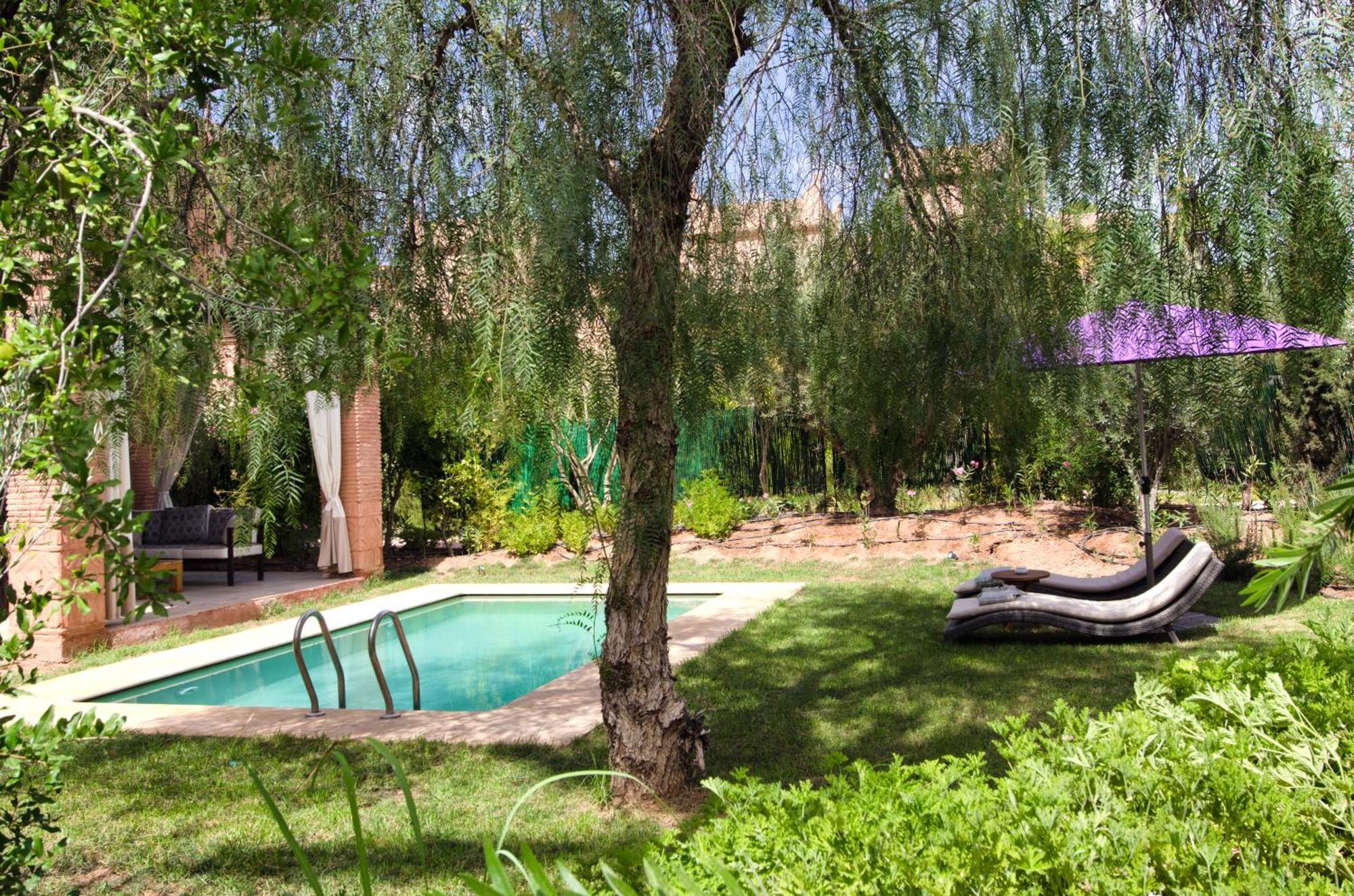 Tigmiza Boutique Hotel & Spa Ouled Jelal Pokoj fotografie The garden of the Riad